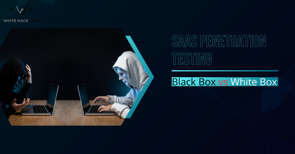 SaaS penetration testing